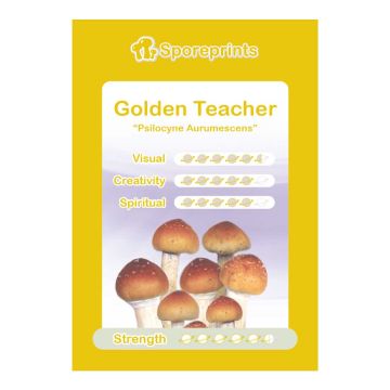 Golden Teacher Sporeprint